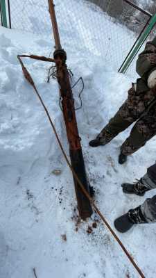 IMG-20210218-WA0008
