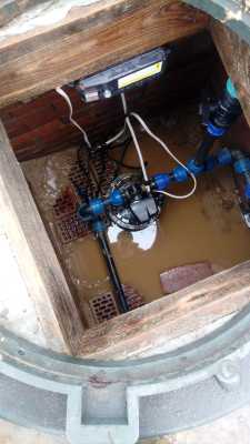 IMG-20210304-WA0002