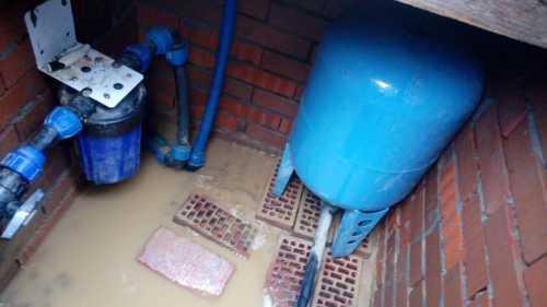 IMG-20210304-WA0004
