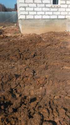 IMG-20210419-WA0011
