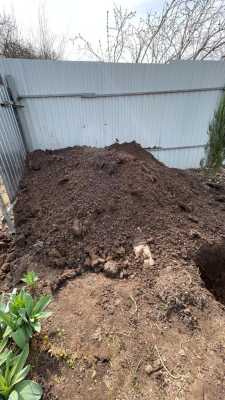 IMG-20210419-WA0028