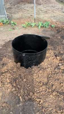 IMG-20210419-WA0030