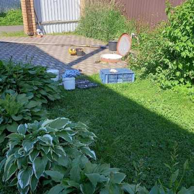 IMG-20210628-WA0015