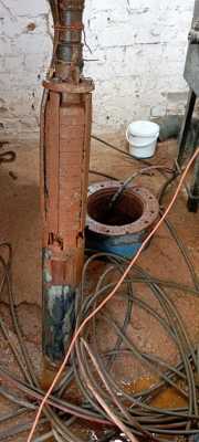 IMG-20220628-WA0038